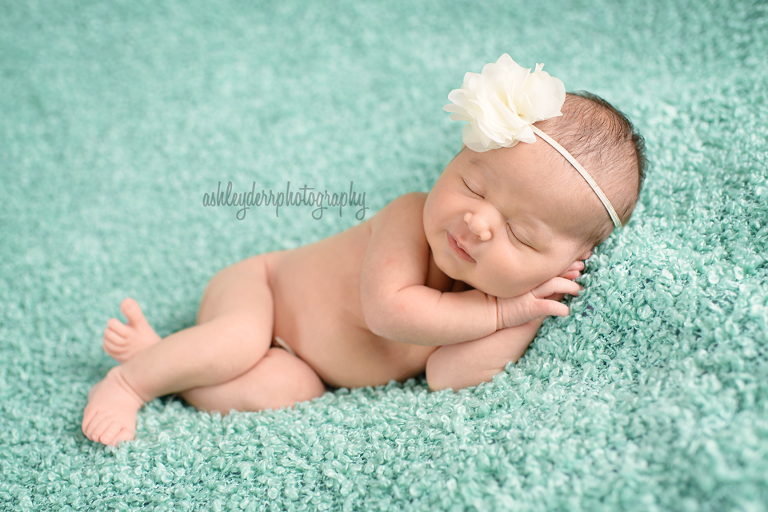Pine Richland Gibsonia newborn baby photographer mini session