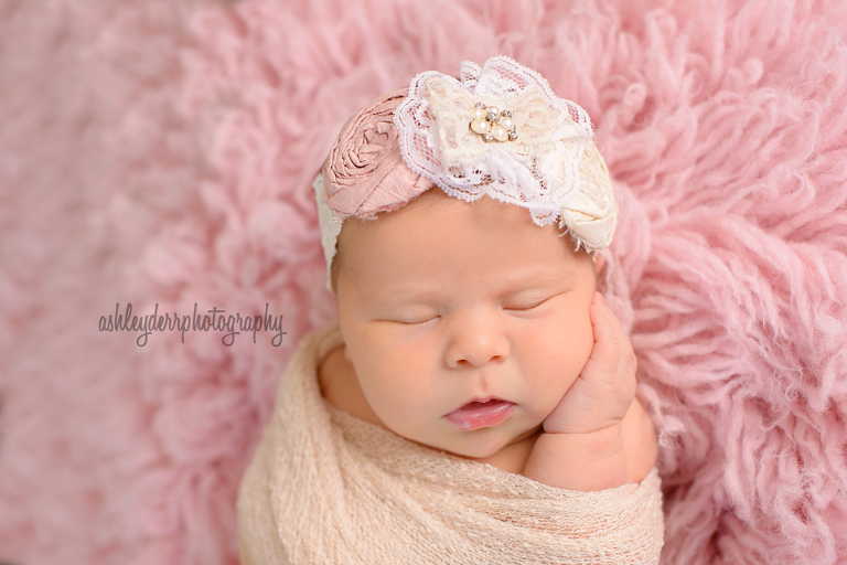 chubby newborn baby girl pittsburgh infant photographer