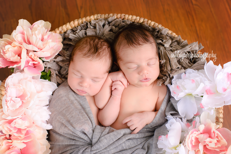 pittsburgh twin girl newborn photographer