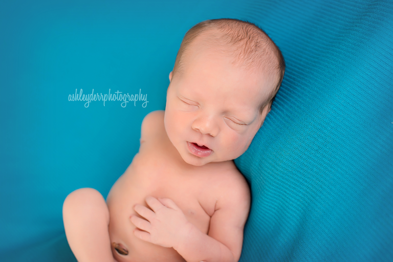 pittsburgh newborn twin photographer allison park pa