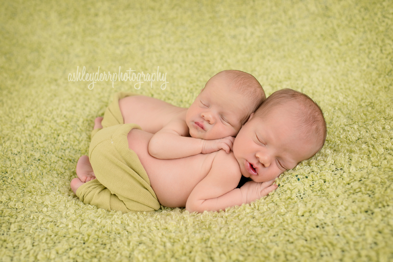 pittsburgh newborn twin photographer allison park pa