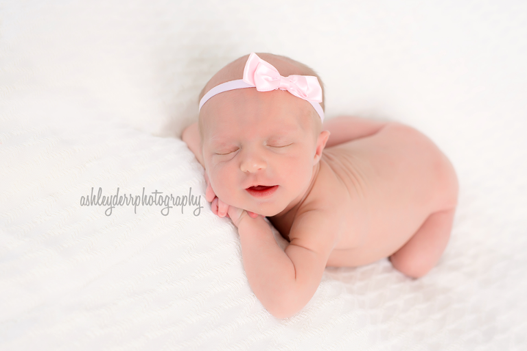 newborn mini session pittsburgh photographer