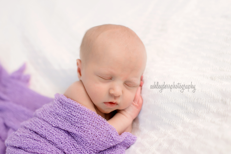 newborn mini session pittsburgh photographer