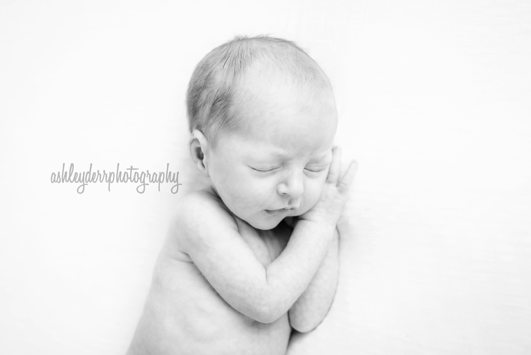 newborn twin girl photographer pittsburgh pa