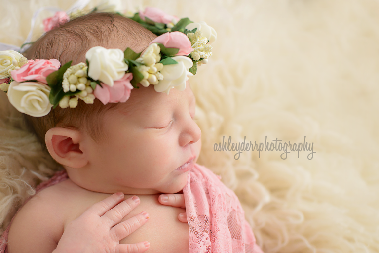 affordable baby photographer pittsburgh pa