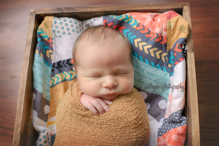 pittsburgh pa affordable newborn baby photography