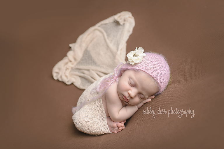 newborn mini session photographer pittsburgh