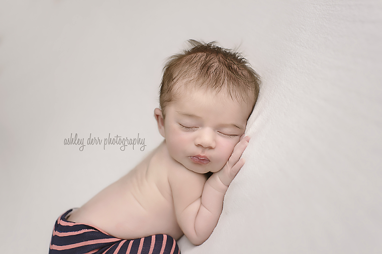 pittsburgh pa newborn baby photographer mini session