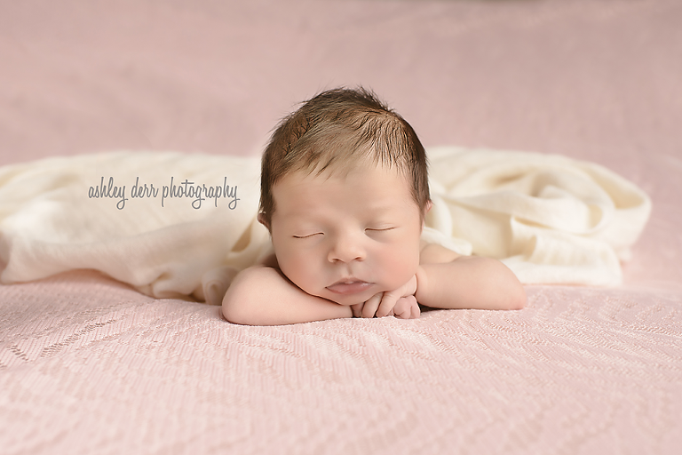 pittsburgh newborn photographer 15025