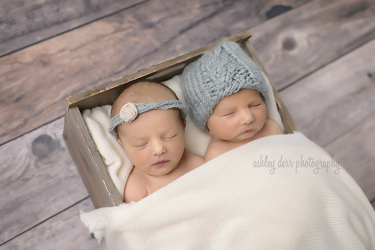 twin newborn photographer pittsburgh pa