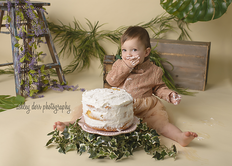 pittsburgh baby milestone photography packages