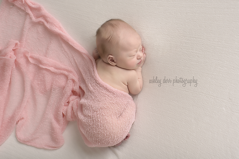newborn photographer pittsburgh pa