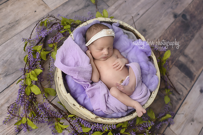 twin newborn photographer pittsburgh