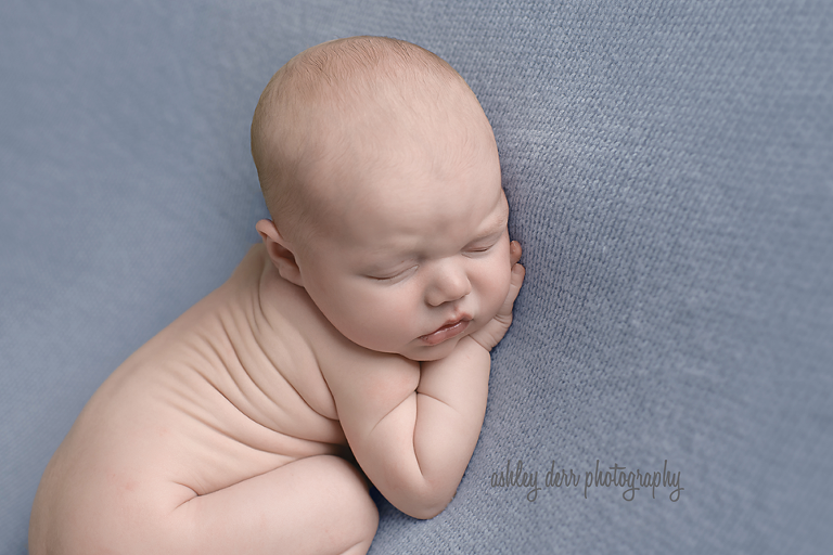 newborn photographers pittsburgh