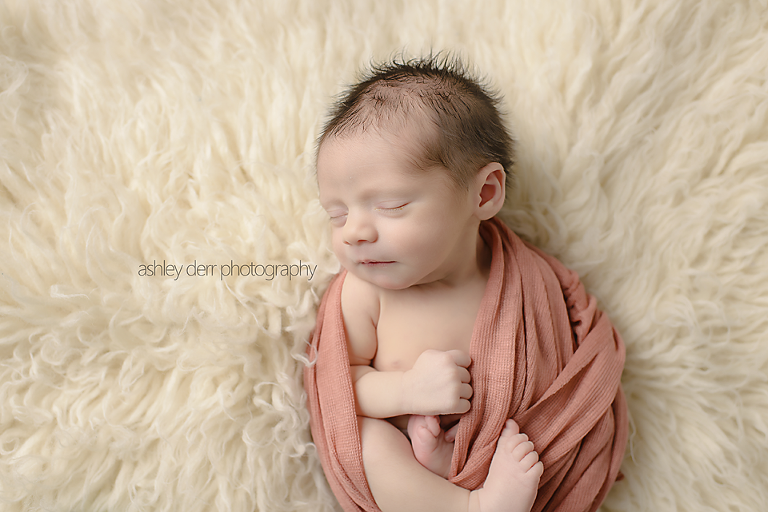 morgantown newborn photographer
