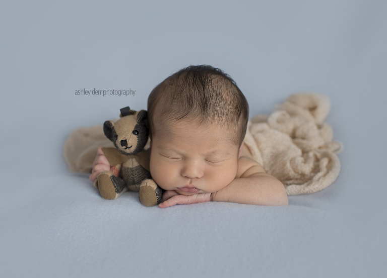 Gibsonia newborn photographer 15044