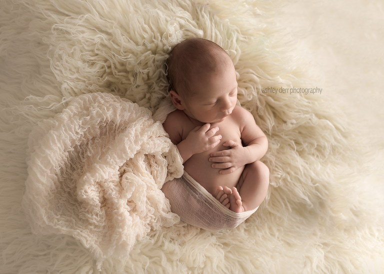 newborn baby photography session in wexford pa