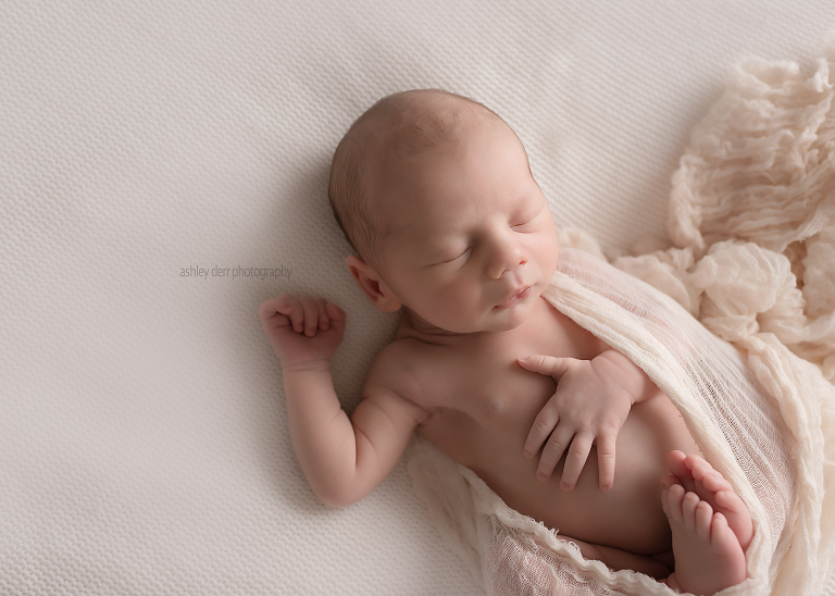 newborn boy photography session wexford pa 15090