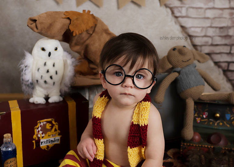 Harry Potter themed six month session pittsburgh
