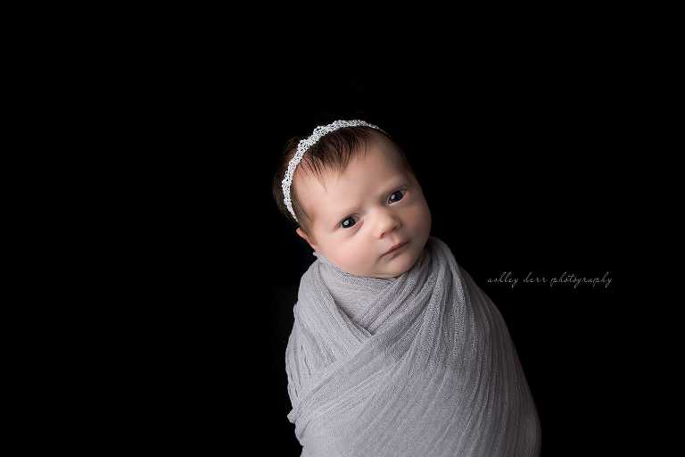 ten day old newborn baby photography pittsburgh