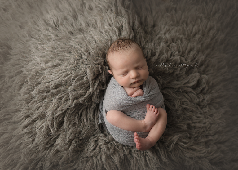 pittsburgh pa newborn photographer
