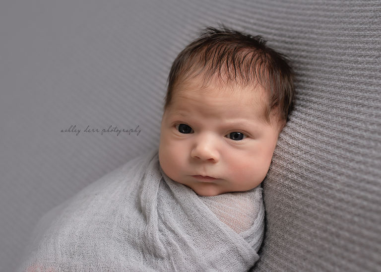 newborn baby photographer gibsonia 15044