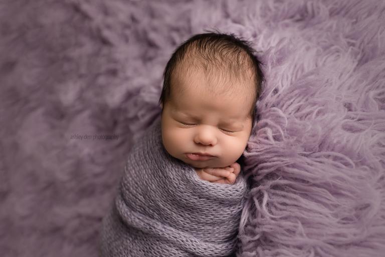newborn photographer pittsburgh