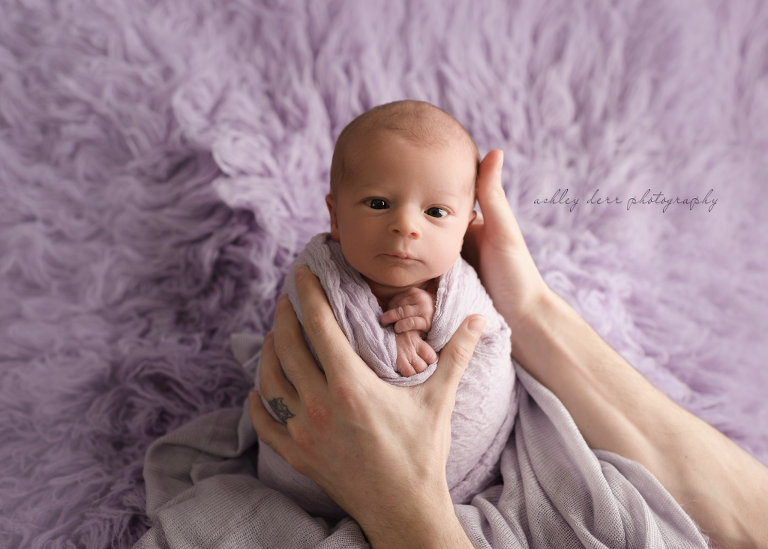 wexford pa 15090 newborn photographer