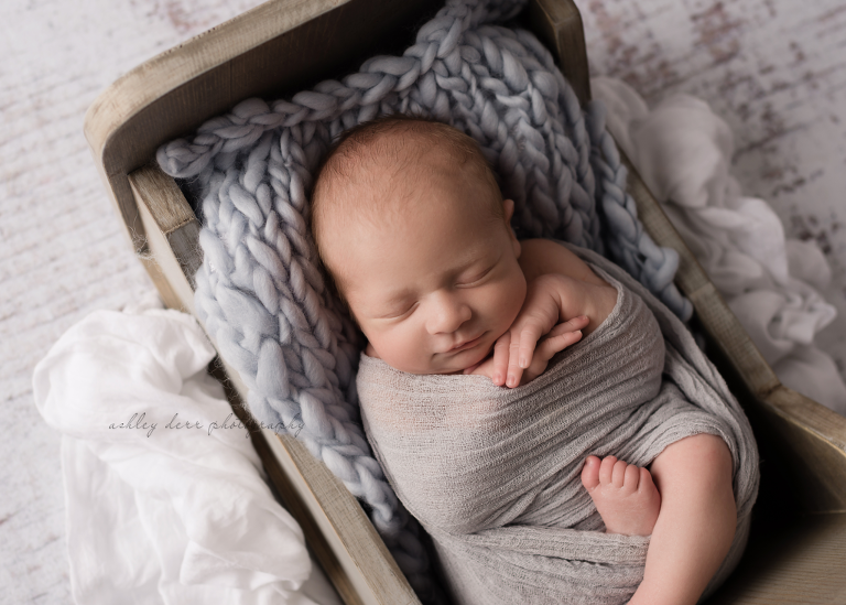 highland park newborn photographer