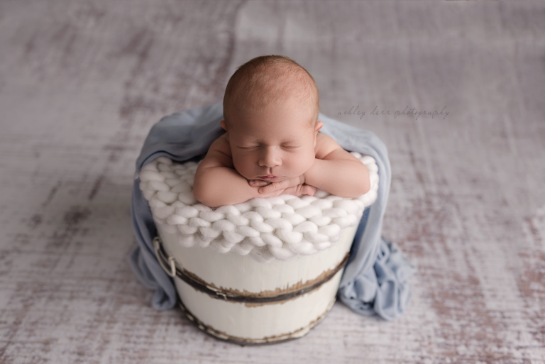 highland park newborn photographer