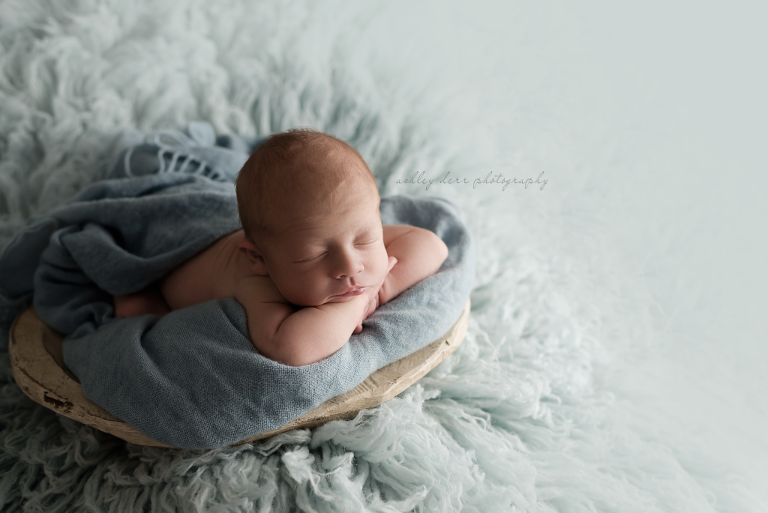 highland park newborn photographer