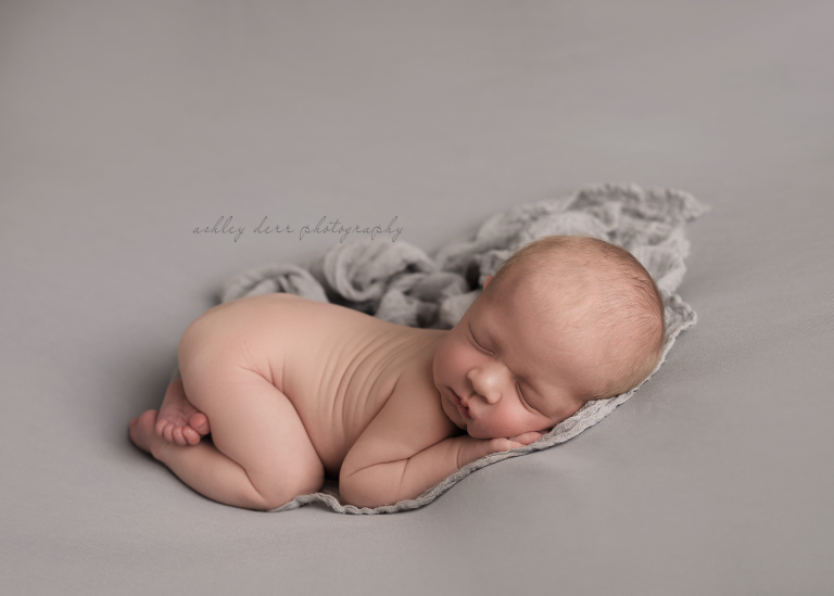 highland park newborn photographer