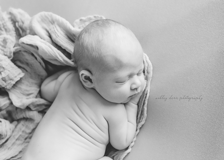 highland park newborn photographer
