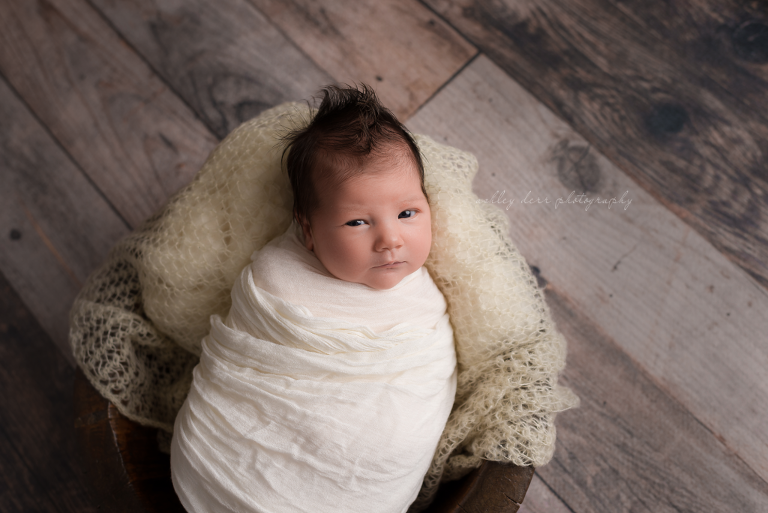 pittsburgh newborn photographer 15234