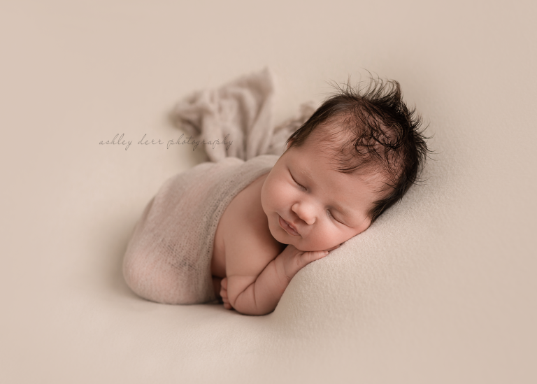 pittsburgh newborn photographer 15234