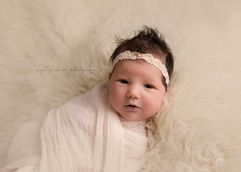 pittsburgh newborn photographer 15234