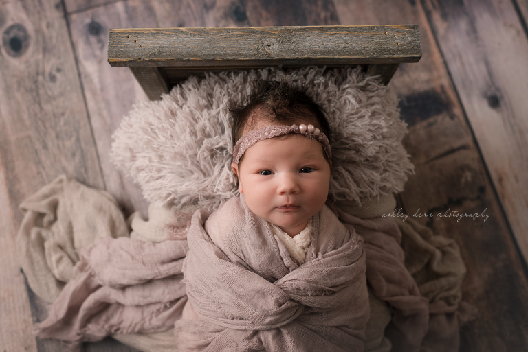 pittsburgh newborn photographer 15234