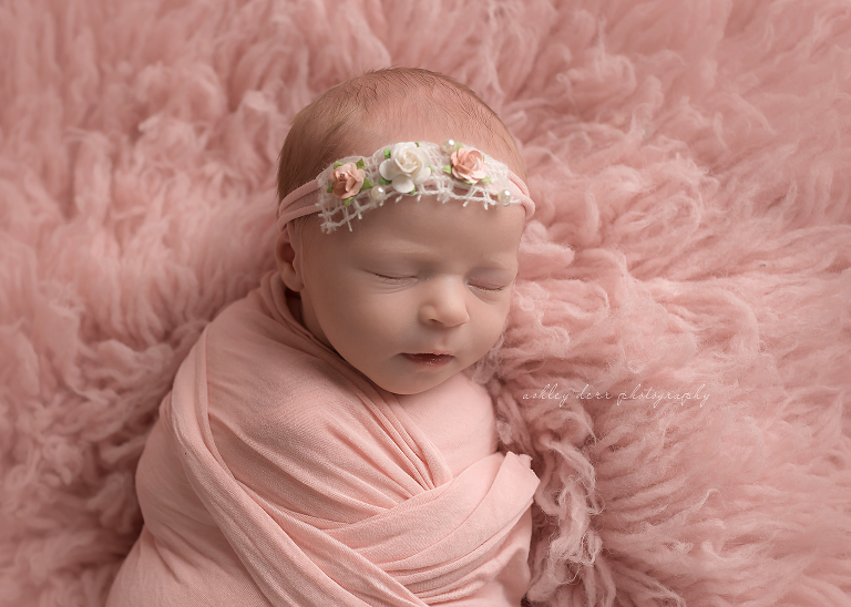 Allison Park 15101 newborn photographer