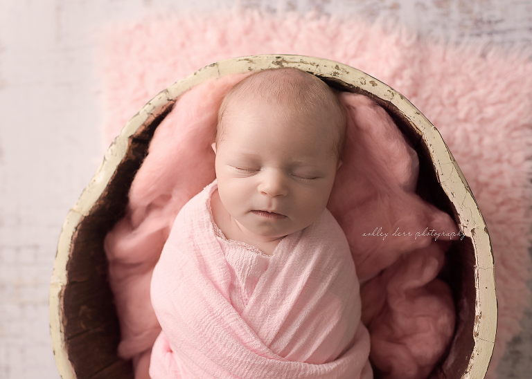 Allison Park 15101 newborn photographer