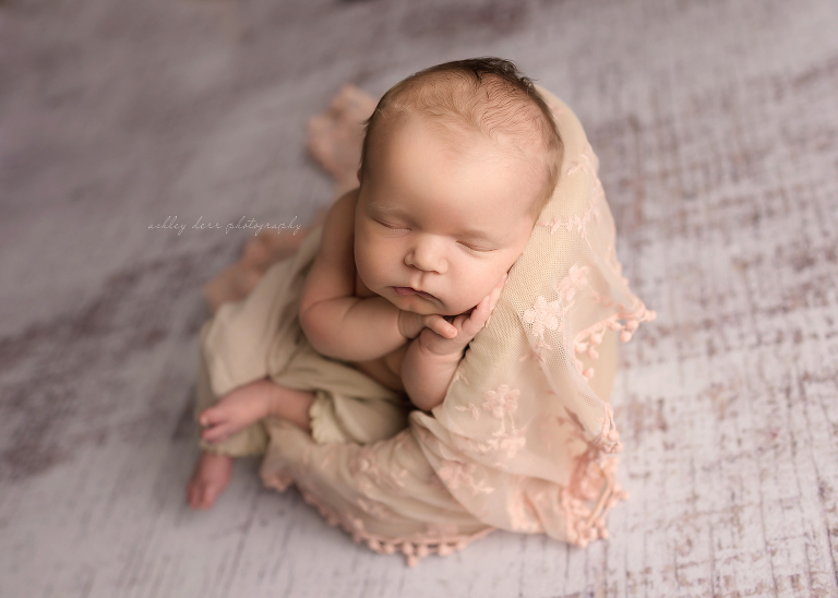 Newborn photographer 15214