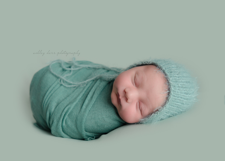 Pittsburgh newborn photography 