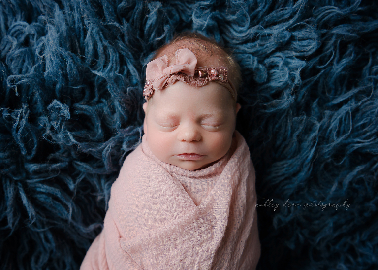 best newborn twin photographer in Pittsburgh