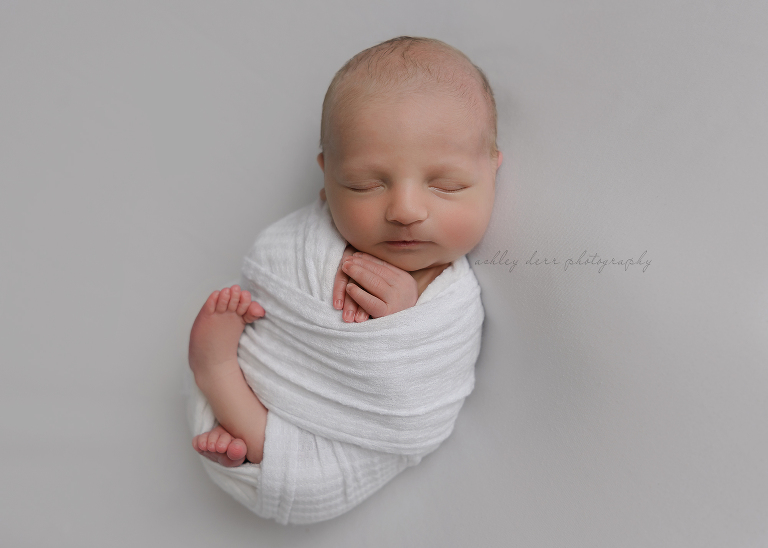 Newborn photographer in Butler PA